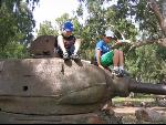 Thumbnail Image, Click to Enlarge thumb_IMG_2711.JPG