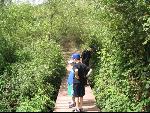 Thumbnail Image, Click to Enlarge thumb_IMG_2720.JPG
