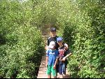 Thumbnail Image, Click to Enlarge thumb_IMG_2721.JPG