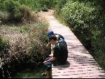 Thumbnail Image, Click to Enlarge thumb_IMG_2722.JPG