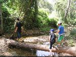 Thumbnail Image, Click to Enlarge thumb_IMG_2723.JPG
