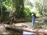 Thumbnail Image, Click to Enlarge thumb_IMG_2724.JPG