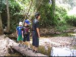 Thumbnail Image, Click to Enlarge thumb_IMG_2726.JPG