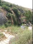 Thumbnail Image, Click to Enlarge thumb_IMG_2734.JPG
