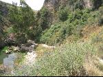 Thumbnail Image, Click to Enlarge thumb_IMG_2735.JPG
