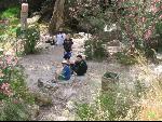 Thumbnail Image, Click to Enlarge thumb_IMG_2739.JPG