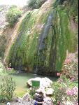 Thumbnail Image, Click to Enlarge thumb_IMG_2741.JPG