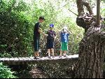Thumbnail Image, Click to Enlarge thumb_IMG_2745.JPG