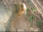 Thumbnail Image, Click to Enlarge thumb_IMG_2747.JPG