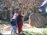 Thumbnail Image, Click to Enlarge thumb_IMG_2527.JPG