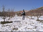 Thumbnail Image, Click to Enlarge thumb_IMG_2426.JPG