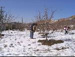 Thumbnail Image, Click to Enlarge thumb_IMG_2427.JPG