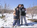 Thumbnail Image, Click to Enlarge thumb_IMG_2429.JPG