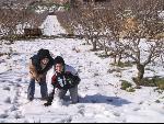 Thumbnail Image, Click to Enlarge thumb_IMG_2436.JPG