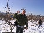 Thumbnail Image, Click to Enlarge thumb_IMG_2441.JPG