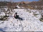 Thumbnail Image, Click to Enlarge thumb_IMG_2451.JPG