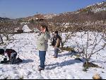 Thumbnail Image, Click to Enlarge thumb_IMG_2454.JPG