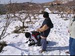 Thumbnail Image, Click to Enlarge thumb_IMG_2455.JPG
