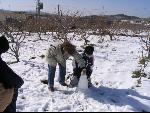Thumbnail Image, Click to Enlarge thumb_IMG_2466.JPG