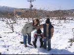 Thumbnail Image, Click to Enlarge thumb_IMG_2467.JPG