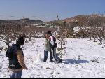 Thumbnail Image, Click to Enlarge thumb_IMG_2472.JPG