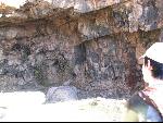 Thumbnail Image, Click to Enlarge thumb_IMG_0650.JPG