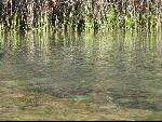 Thumbnail Image, Click to Enlarge thumb_IMG_0667.JPG