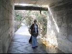 Thumbnail Image, Click to Enlarge thumb_IMG_0678.JPG