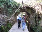 Thumbnail Image, Click to Enlarge thumb_IMG_0681.JPG
