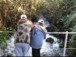 Thumbnail Image, Click to Enlarge thumb_IMG_0684.JPG