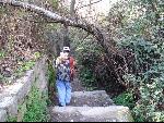 Thumbnail Image, Click to Enlarge thumb_IMG_0688.JPG