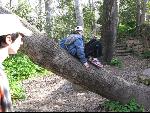 Thumbnail Image, Click to Enlarge thumb_IMG_0700.JPG