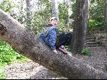 Thumbnail Image, Click to Enlarge thumb_IMG_0701.JPG