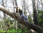 Thumbnail Image, Click to Enlarge thumb_IMG_0702.JPG