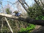 Thumbnail Image, Click to Enlarge thumb_IMG_0703.JPG