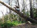Thumbnail Image, Click to Enlarge thumb_IMG_0704.JPG