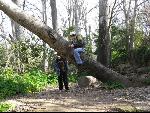 Thumbnail Image, Click to Enlarge thumb_IMG_0705.JPG