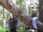 Thumbnail Image, Click to Enlarge thumb_IMG_0706.JPG