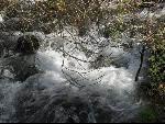Thumbnail Image, Click to Enlarge thumb_IMG_0710.JPG
