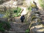 Thumbnail Image, Click to Enlarge thumb_IMG_0711.JPG