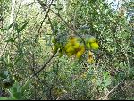 Thumbnail Image, Click to Enlarge thumb_IMG_0713.JPG