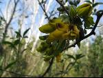 Thumbnail Image, Click to Enlarge thumb_IMG_0714.JPG