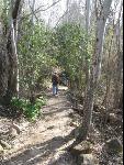 Thumbnail Image, Click to Enlarge thumb_IMG_0716.JPG