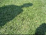 Thumbnail Image, Click to Enlarge thumb_IMG_0464.JPG