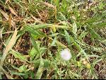 Thumbnail Image, Click to Enlarge thumb_IMG_0404.JPG