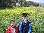 Thumbnail Image, Click to Enlarge thumb_IMG_0406.JPG