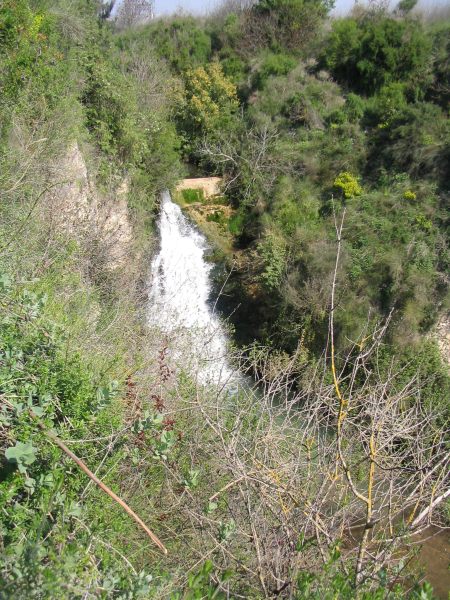 IMG_0472.JPG