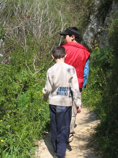 IMG_0520.JPG