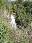 Thumbnail Image, Click to Enlarge thumb_IMG_0472.JPG