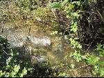 Thumbnail Image, Click to Enlarge thumb_IMG_0482.JPG